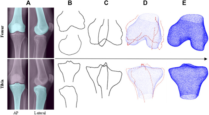 FIGURE 1