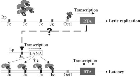 FIG. 7.