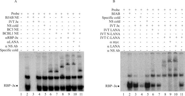 FIG. 5.