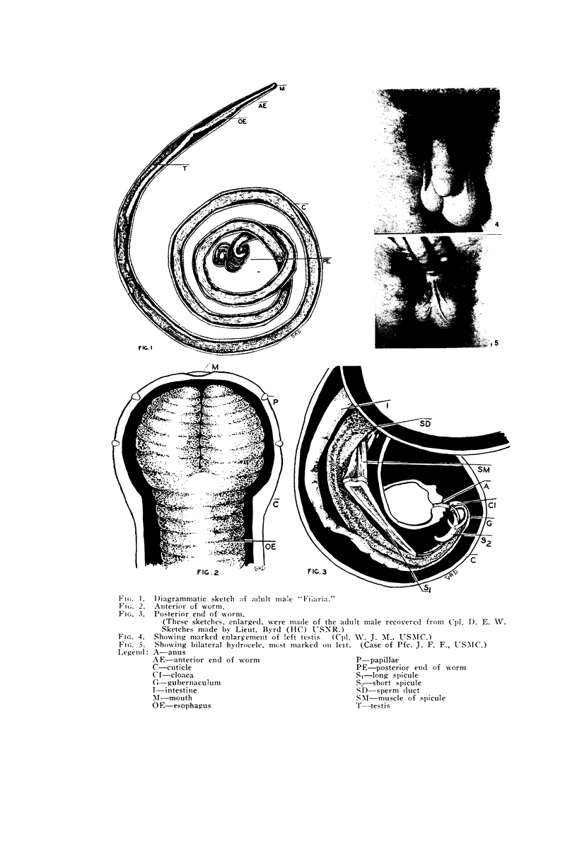 538-1