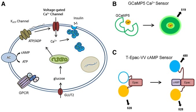 Fig. 3.