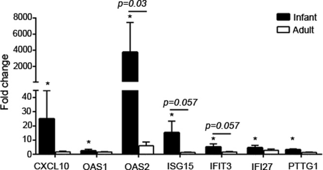 FIG 7