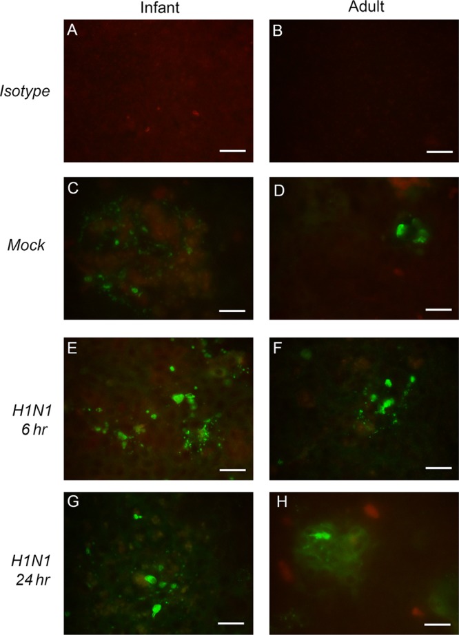 FIG 3