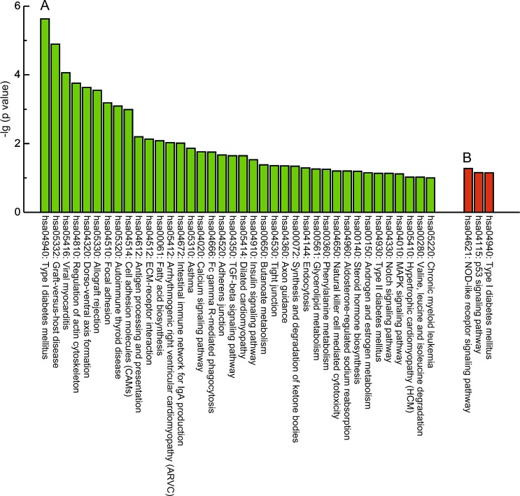 Fig 3