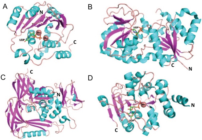 Figure 1.