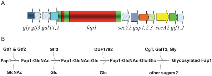 Figure 2.