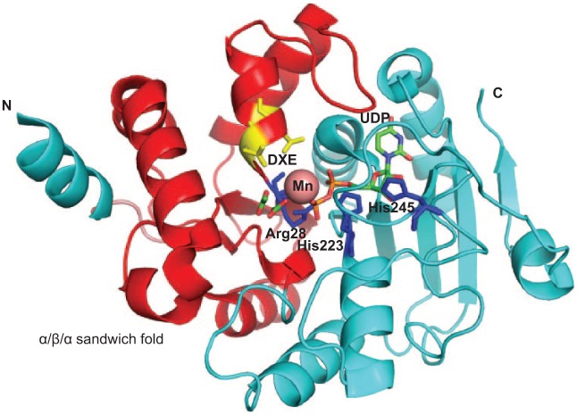 Figure 3.