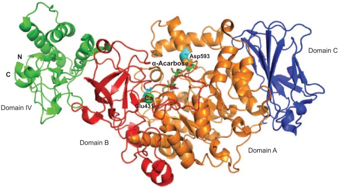 Figure 5.