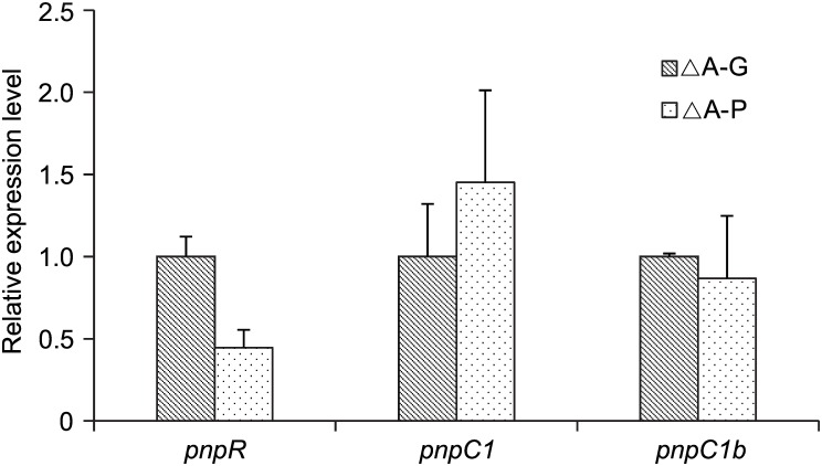 Fig 4