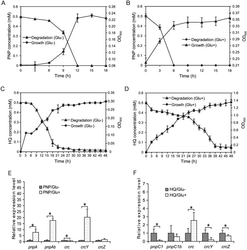 Fig 7