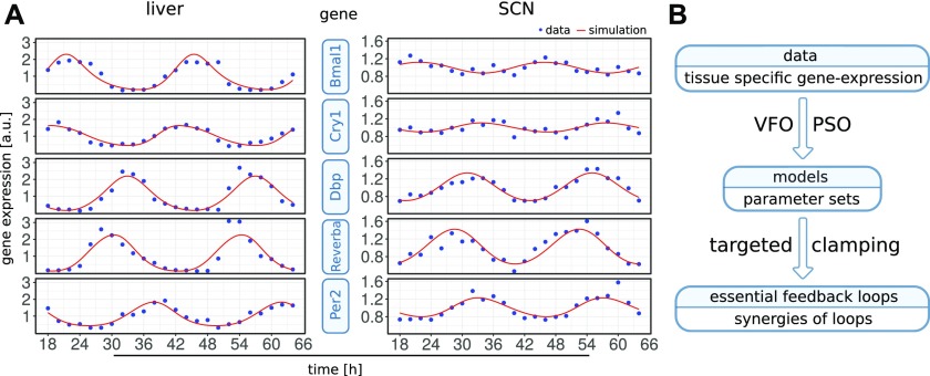 Figure 3.