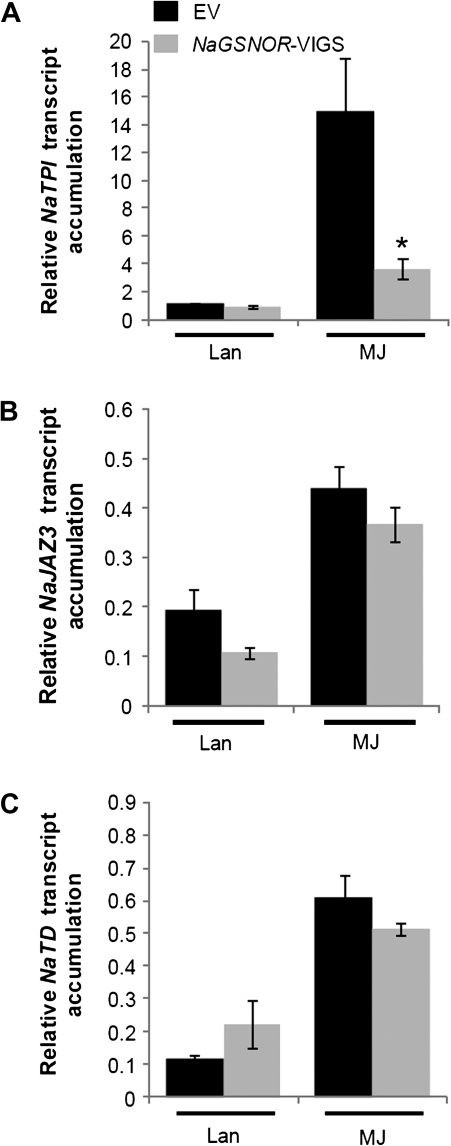 Fig. 8.