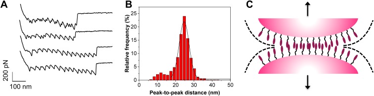 Fig. S1.