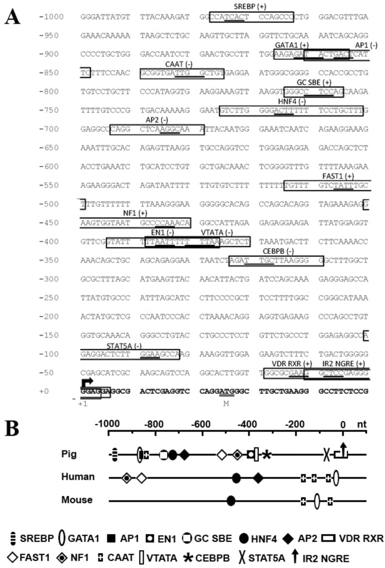 Fig. 8.