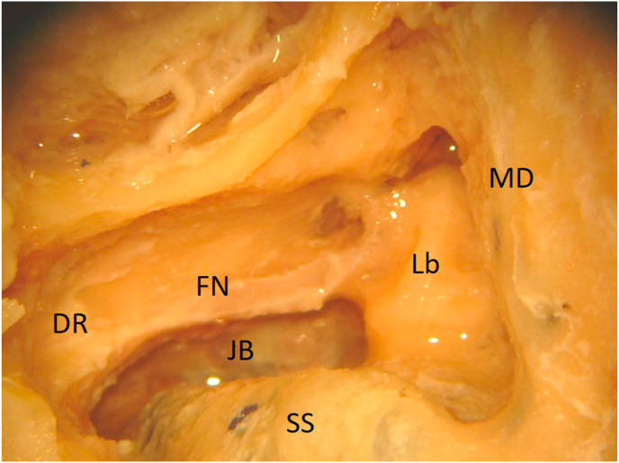 Fig. 7