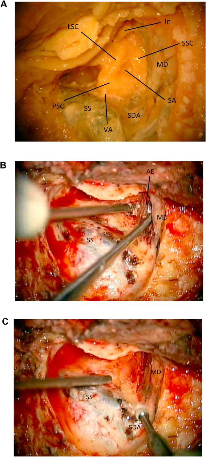 Fig. 6