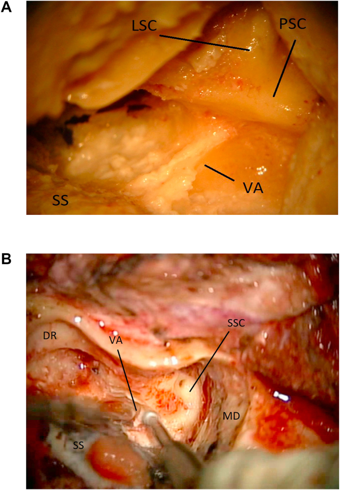 Fig. 9