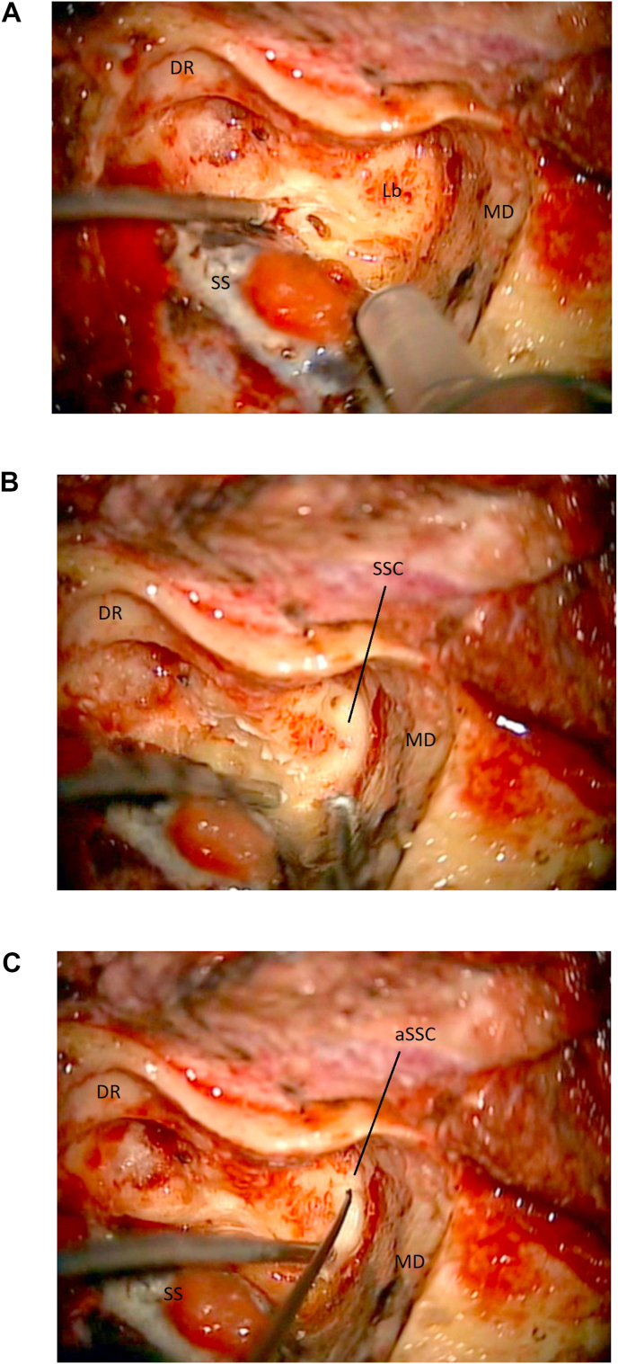 Fig. 8