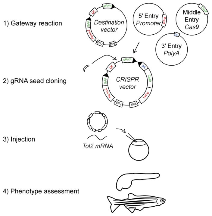 FIGURE 2