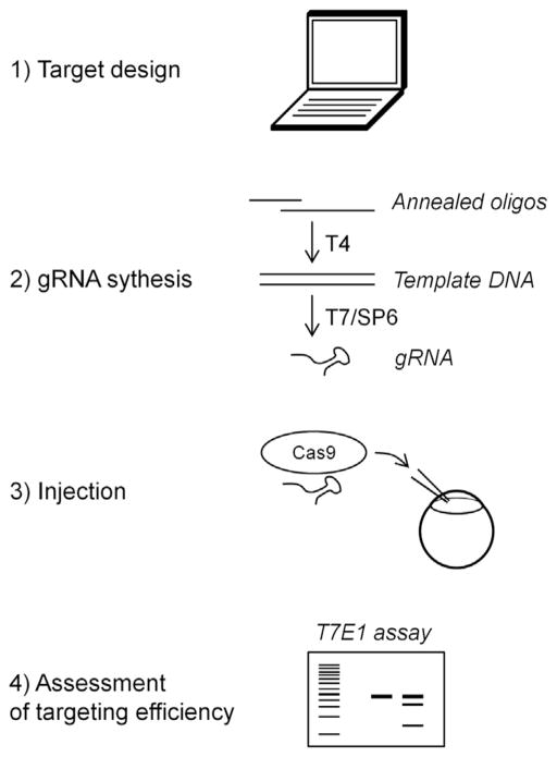 FIGURE 1