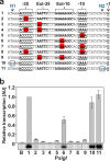FIG 6