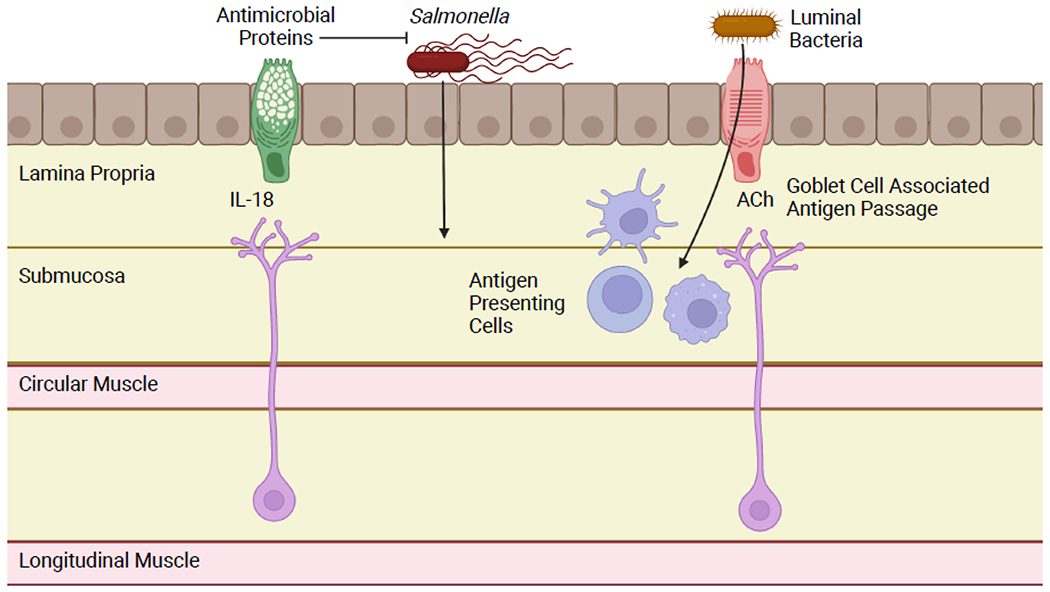 Figure 4: