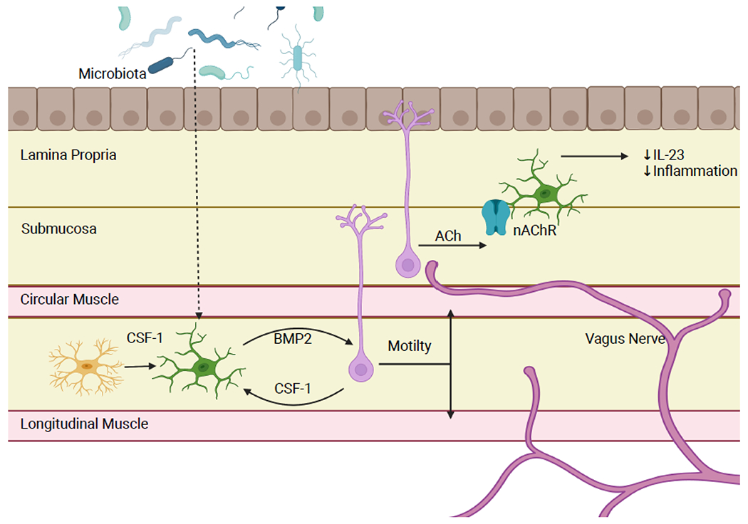 Figure 2: