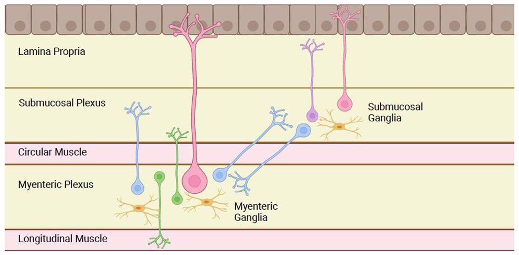 Figure 1: