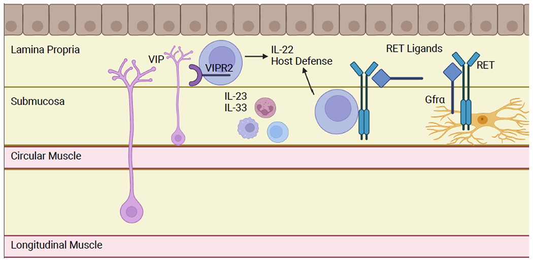 Figure 3: