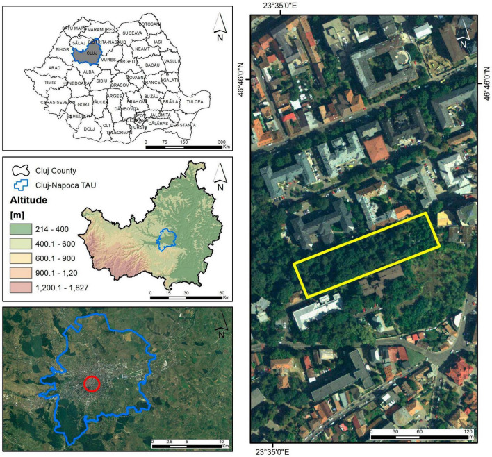 FIGURE 2