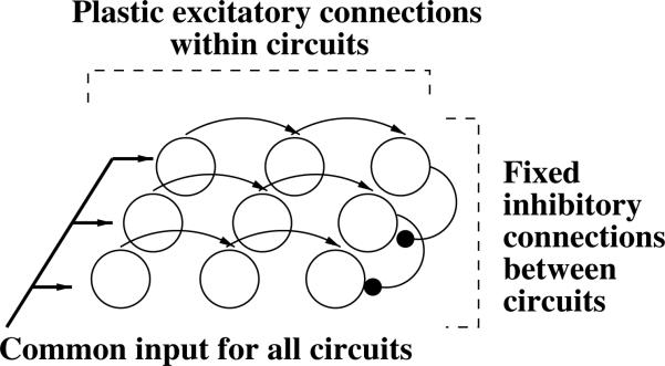 Figure 19