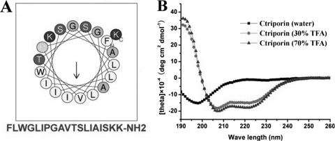 Fig. 9.