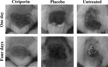 Fig. 6.