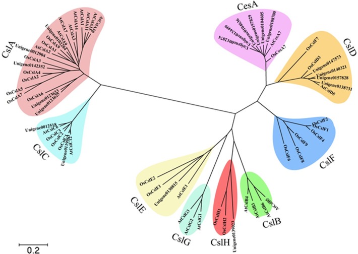 Figure 7