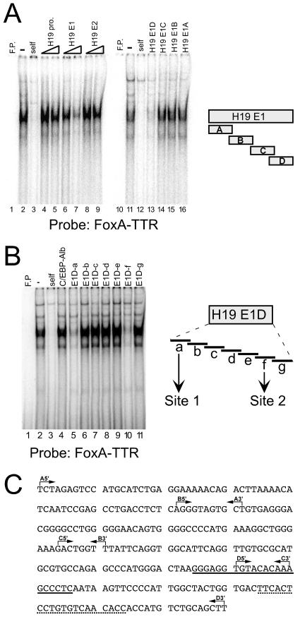 FIG. 2.