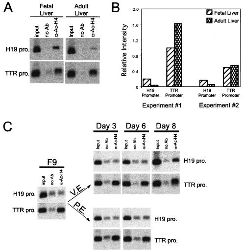 FIG. 7.