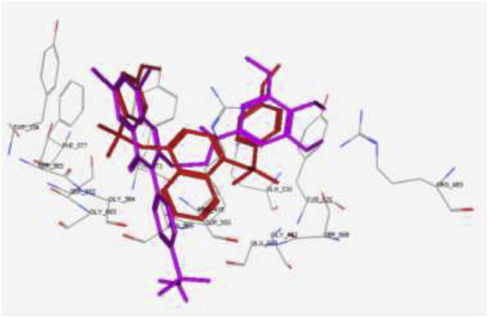 Fig. 8