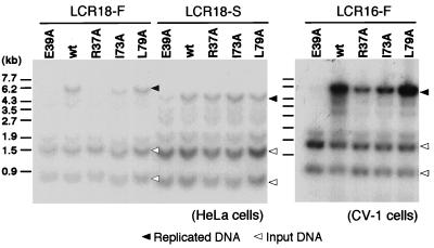 FIG. 7