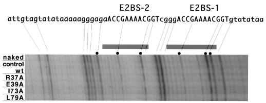 FIG. 6