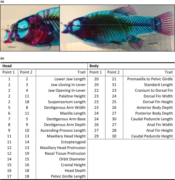 FIGURE 2