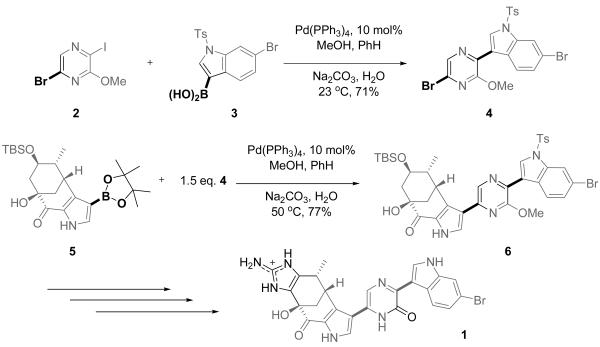 Scheme 1