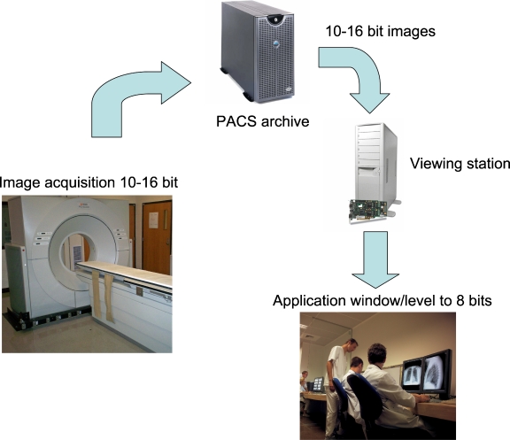 Fig 1