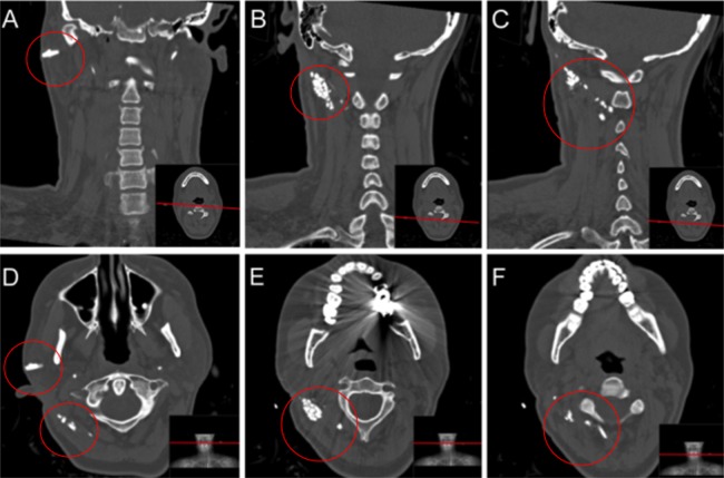 Figure 1