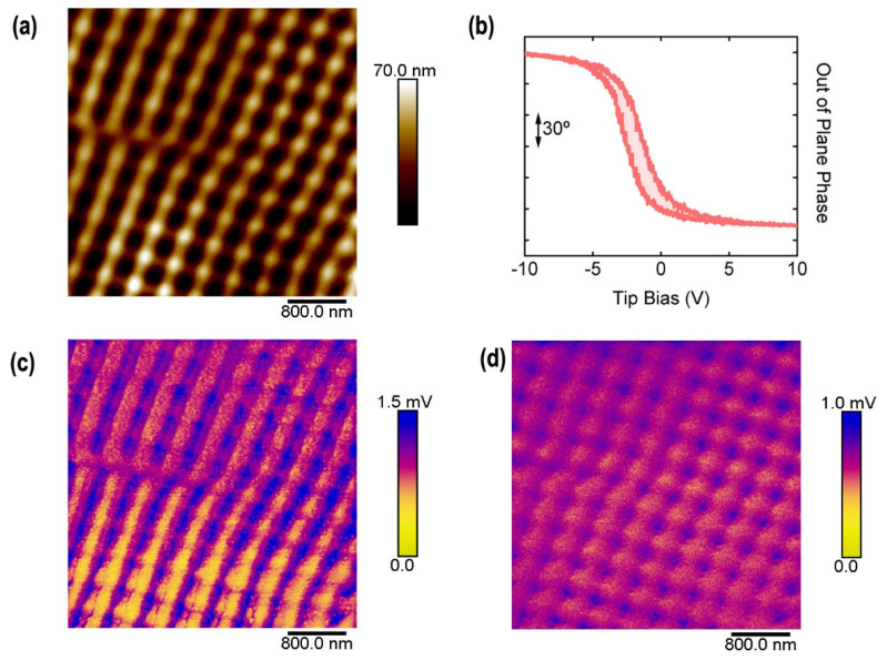 Figure 7