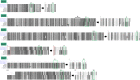 Figure 4—figure supplement 3.