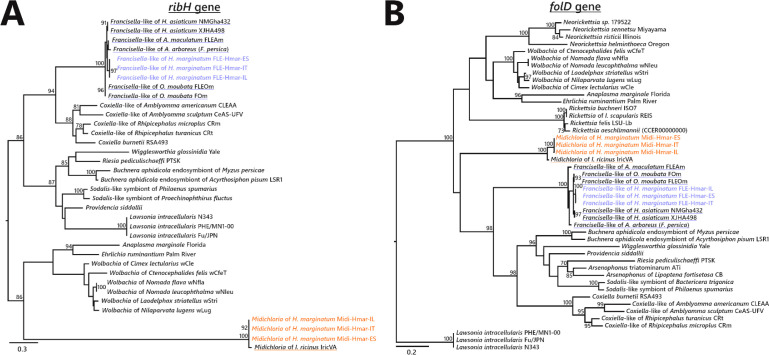 Figure 4—figure supplement 5.