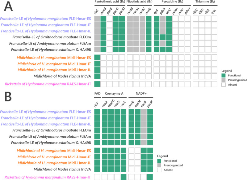 Figure 4—figure supplement 4.