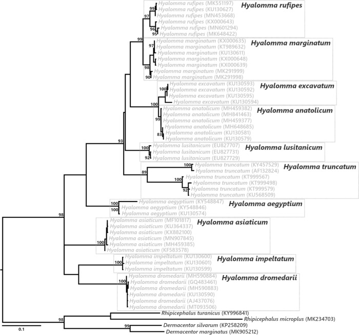 Figure 1—figure supplement 2.