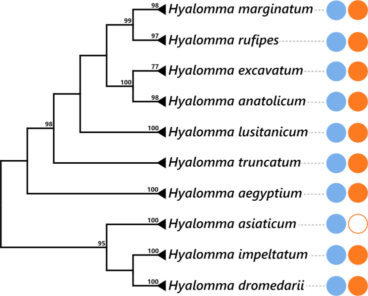 Figure 1—figure supplement 3.