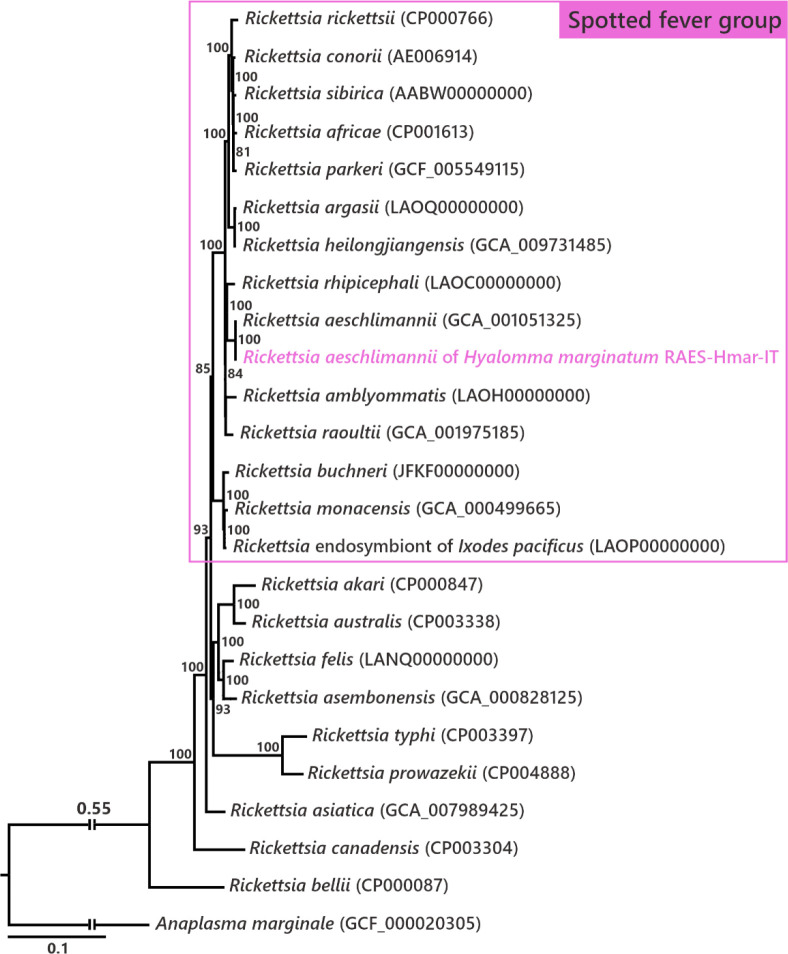 Figure 1—figure supplement 1.